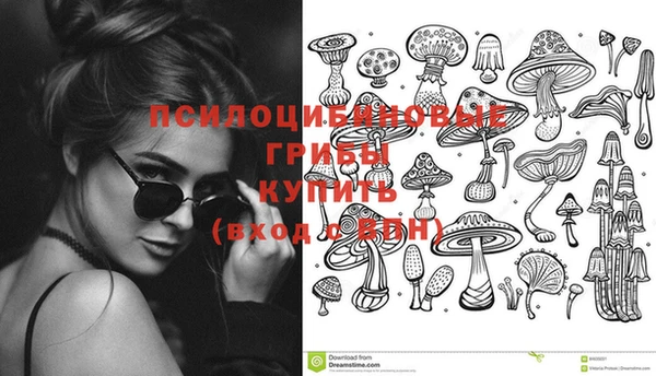 кокс Алексин
